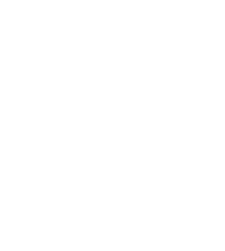 ottimizzazione-image